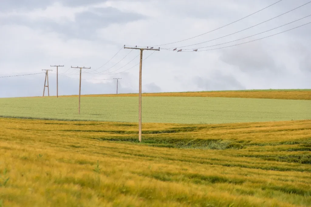 Czy można żądać usunięcia słupa energetycznego